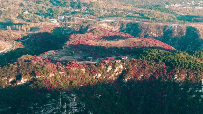 航拍郑州登封中岳嵩山红叶