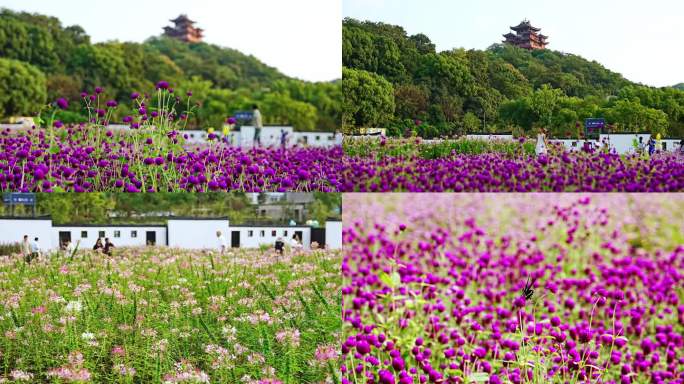 吴山天风花海