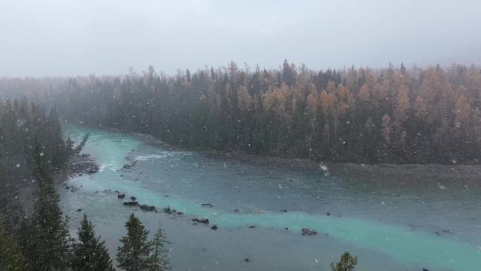 航拍大雪纷飞的新疆喀纳斯河畔秋色