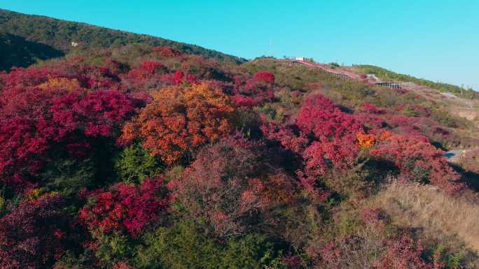 航拍郑州登封中岳嵩山红叶