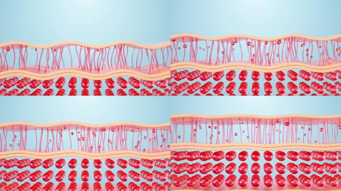 水分子渗透皮肤修复细胞三维动画广告素材