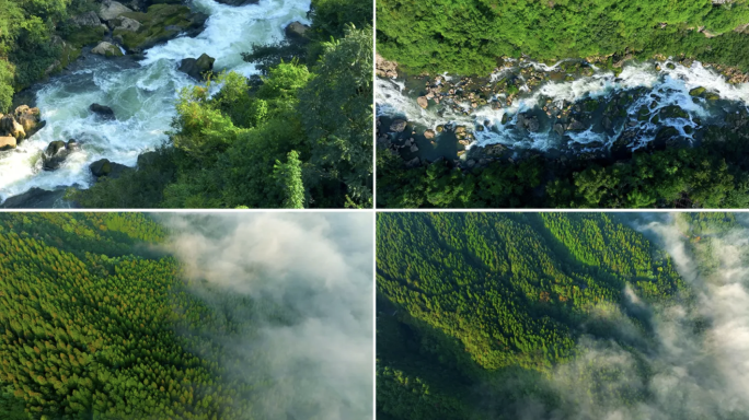 大自然 森林 云雾 天然氧吧 山水