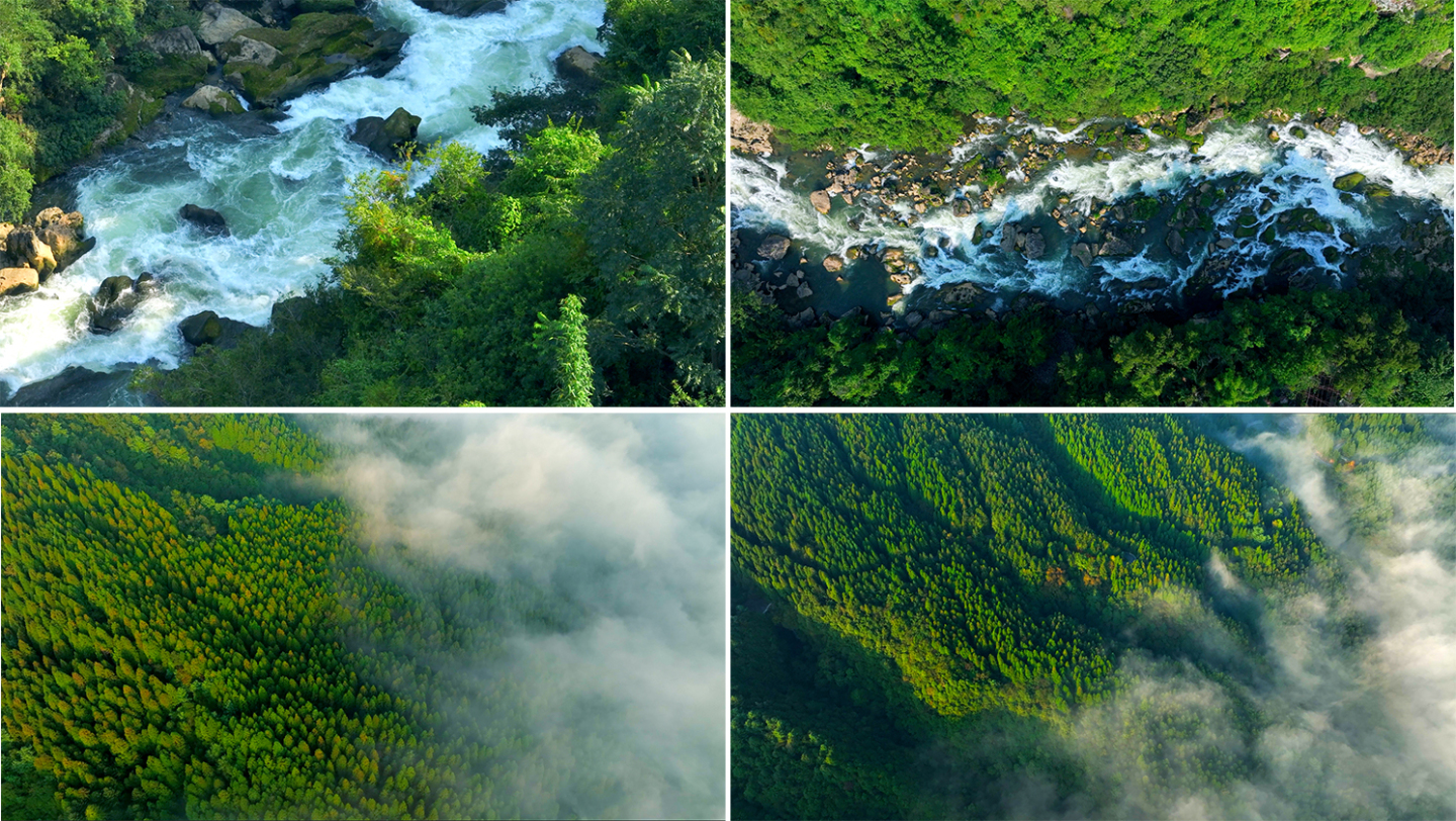 大自然 森林 云雾 天然氧吧 山水