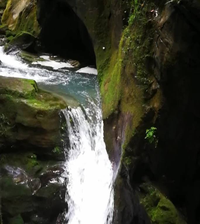 从林 溪谷 激流 湍急 水花 溪流