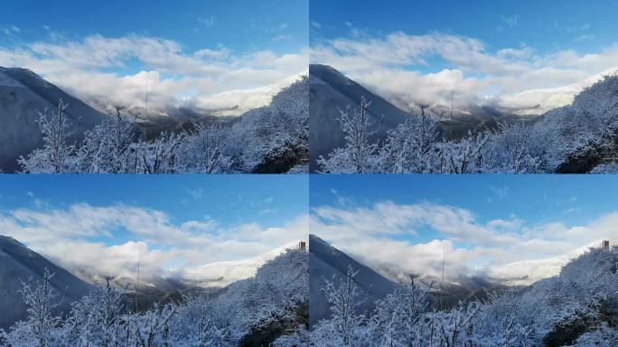 云雾 雾凇 蓝天 白云 远山 雪山 西藏