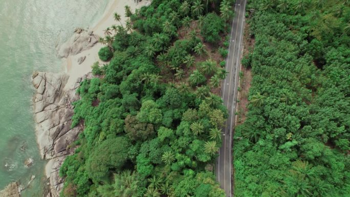 鸟瞰图海滨海滨乡村公路，海岸森林椰树环绕，海滨景观风景，宁静放松之旅，环保之旅