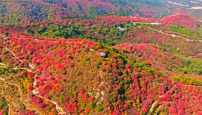 4k航拍 长寿山红叶 红叶