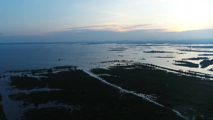 海上森林红树林湿地生态航拍