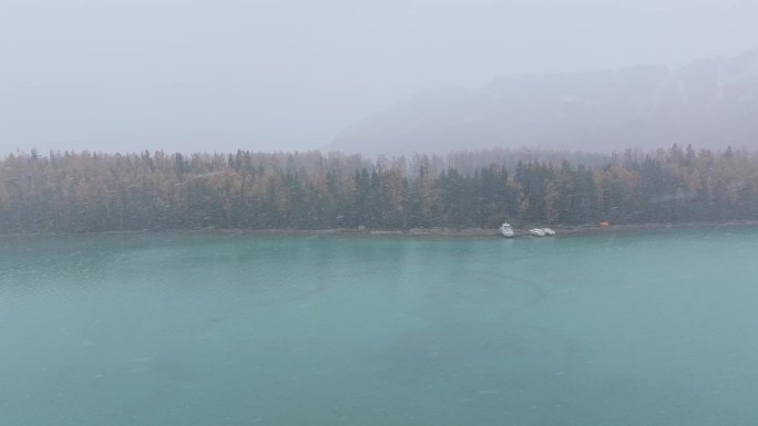 航拍大雪纷飞的新疆喀纳斯湖秋色