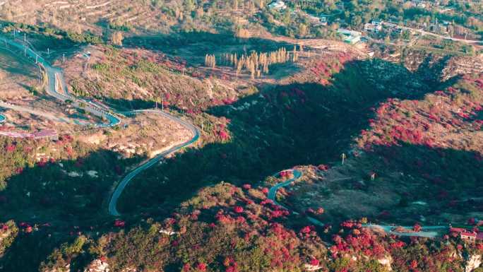 航拍郑州登封中岳嵩山红叶