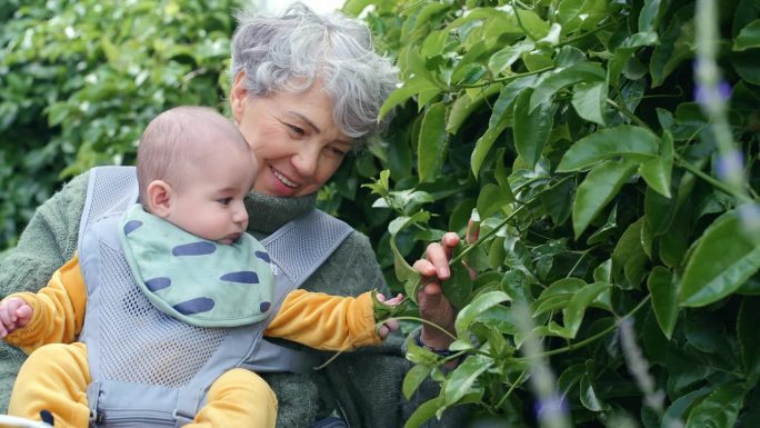 植物，婴儿和祖母在房子的后院照看孩子，作为关心，爱和户外联系在一起。婴儿、老人、退休妇女与孩子在大自