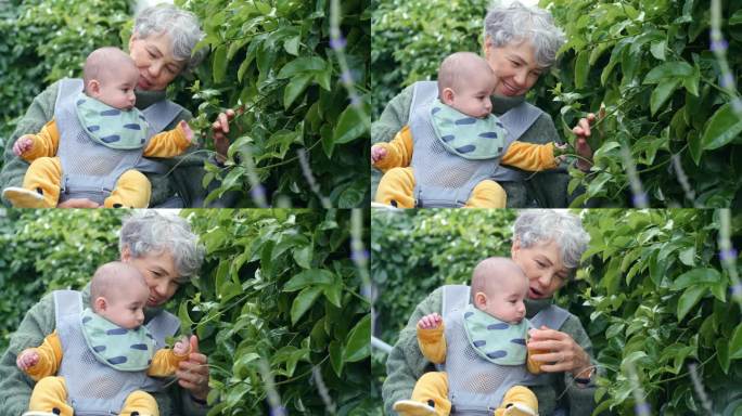 植物，婴儿和祖母在房子的后院照看孩子，作为关心，爱和户外联系在一起。婴儿、老人、退休妇女与孩子在大自