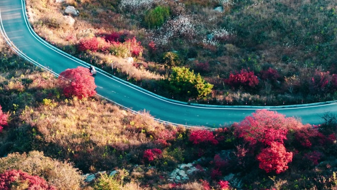 航拍郑州登封中岳嵩山红叶