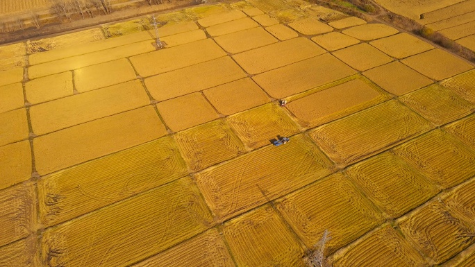 航拍水稻大地收获机秋收