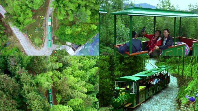 森林观光小火车
