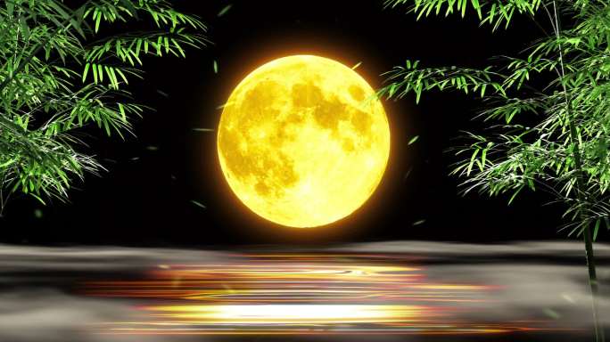月光下的凤尾竹