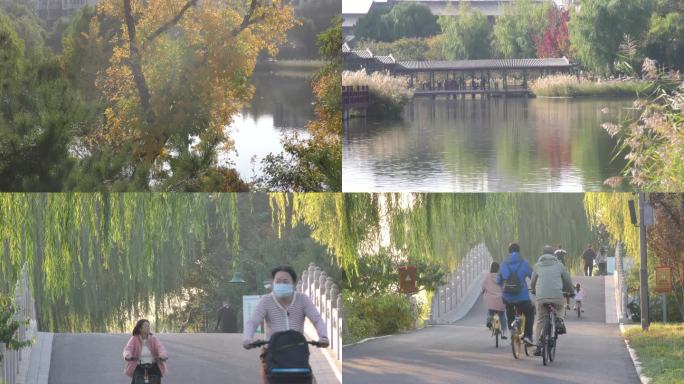 金秋季节骑车锻炼绿色家园公园一家人游玩