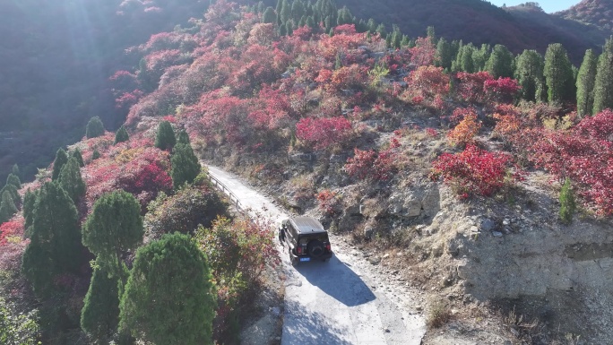 济南彩石劈山红叶