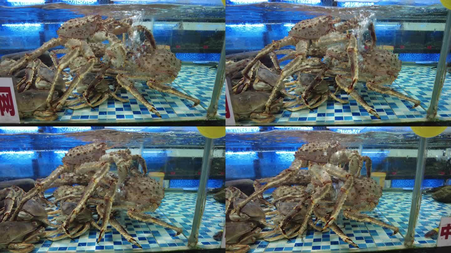 活体新鲜海鲜螃蟹龙虾帝王蟹石斑鱼乌龟实拍