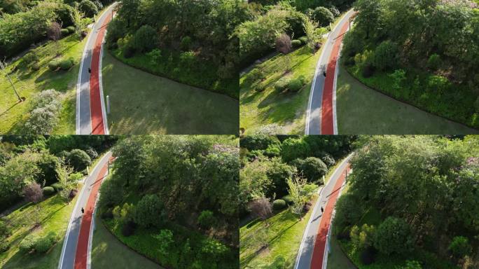 阳光跑 跑步 奔跑