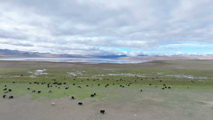 西藏山南洛扎县自然风景