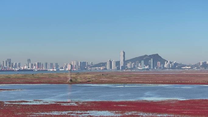 江苏连云港连岛景区中的红草地