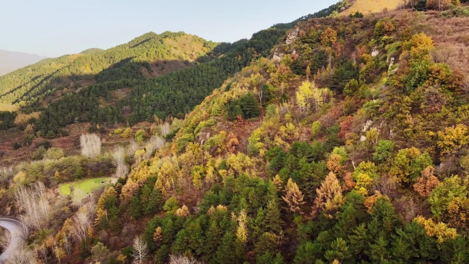 秋天山谷红叶