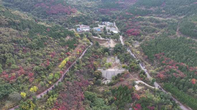 济南彩石捎近村红叶