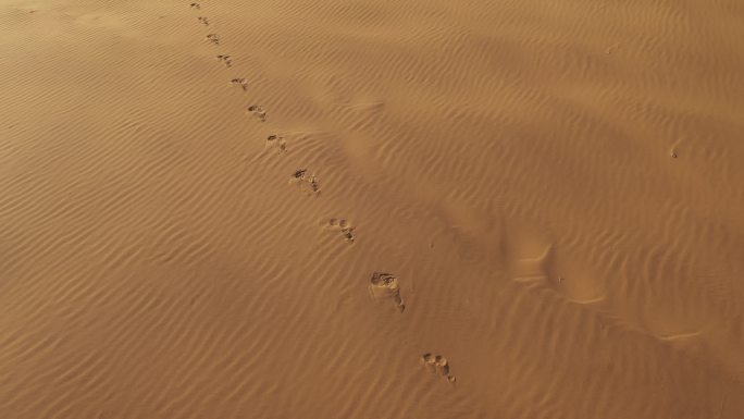 徒步爱好者沙漠中遇到沙尘暴 沙漠徒步探险