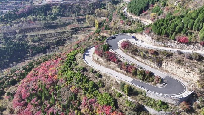 济南彩石劈山红叶