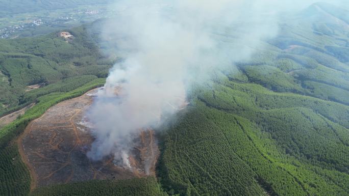 高山林地焚烧枯树枯枝