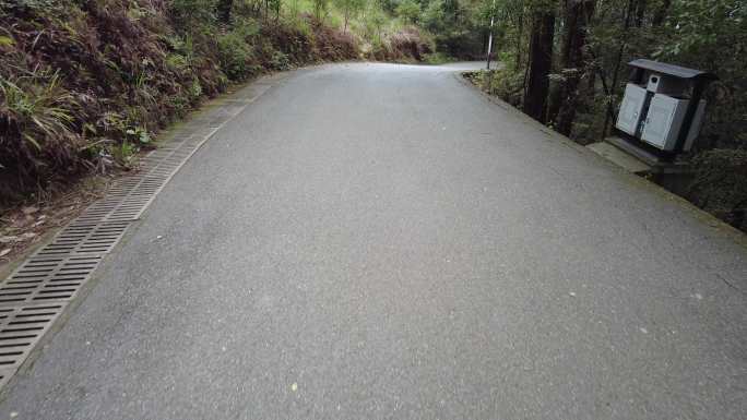 山中植物小路实拍