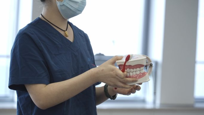 牙医演示巴氏刷牙法