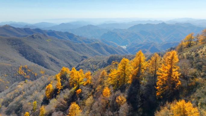 太行山秋景