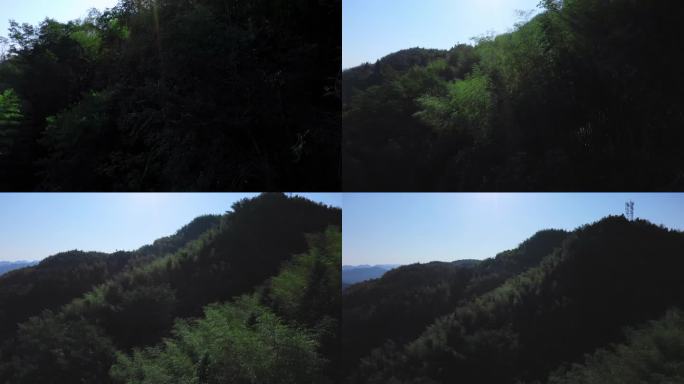 竹林树林深林山岭航拍