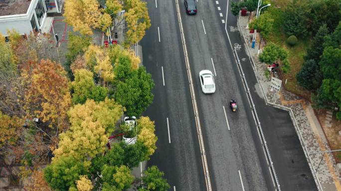 初秋车来车往的公路航拍