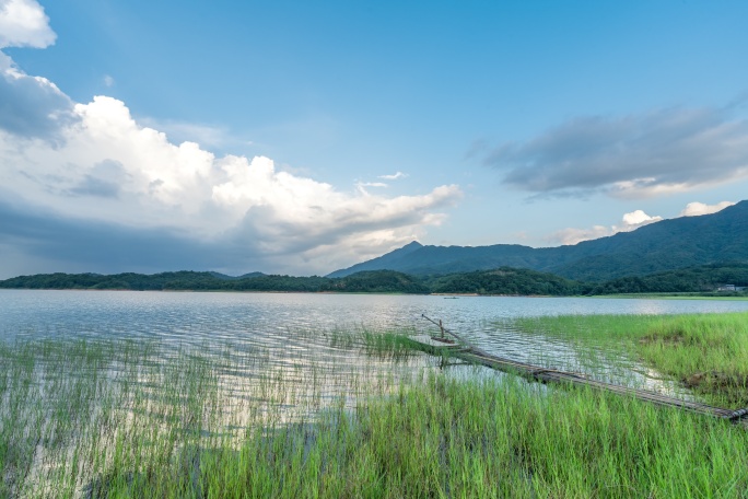 万绿湖草地湖面延时4k