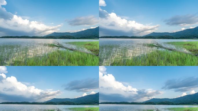 万绿湖草地湖面延时4k