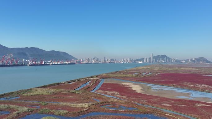 江苏连云港连岛景区中的红草地