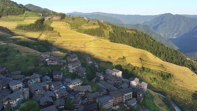 中国广西桂林市龙胜各族自治县龙脊梯田