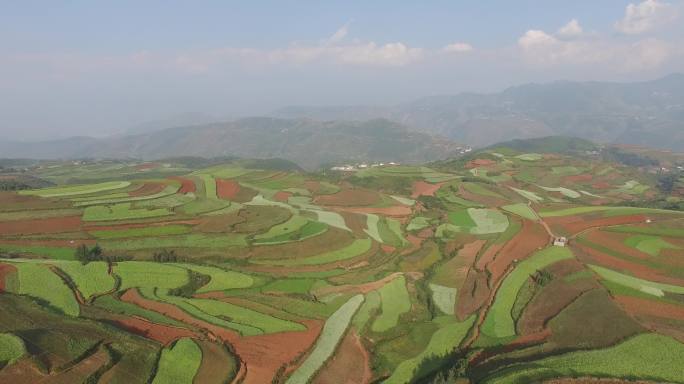 东川红土地