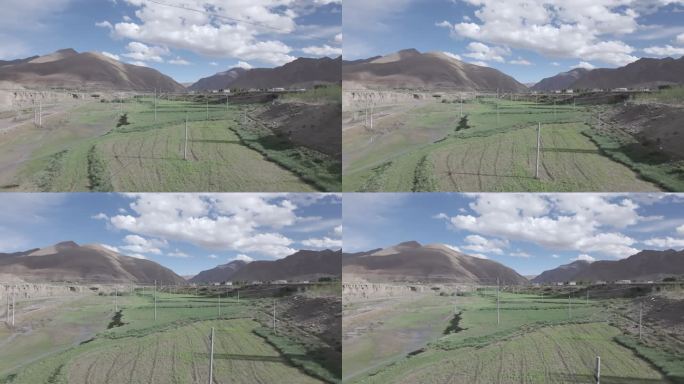 西藏日喀则农业电塔