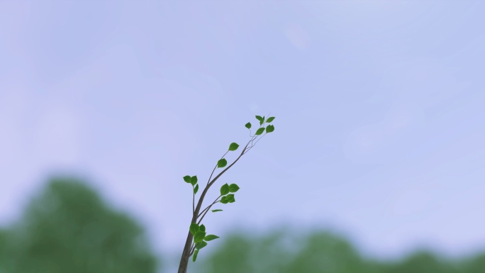 小树树苗树发芽生长长成大树森林三维动画