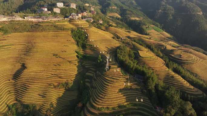 中国广西桂林市龙胜各族自治县龙脊梯田