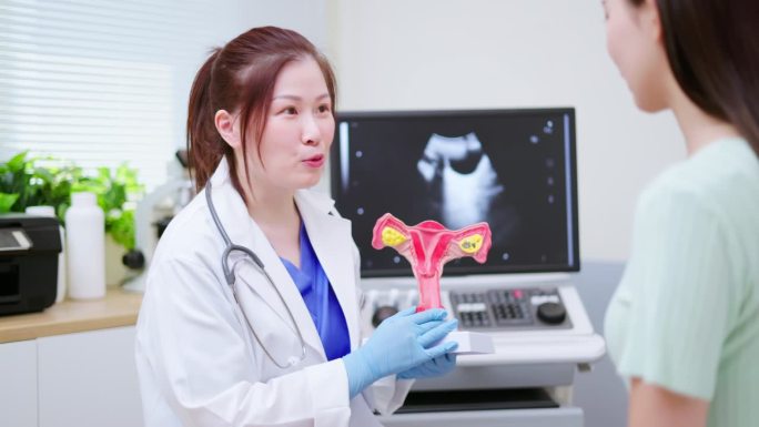 医生解释子宫模型医美妇科疾病视频素材