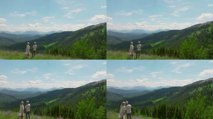 一对老年夫妇欣赏野山谷的景色
