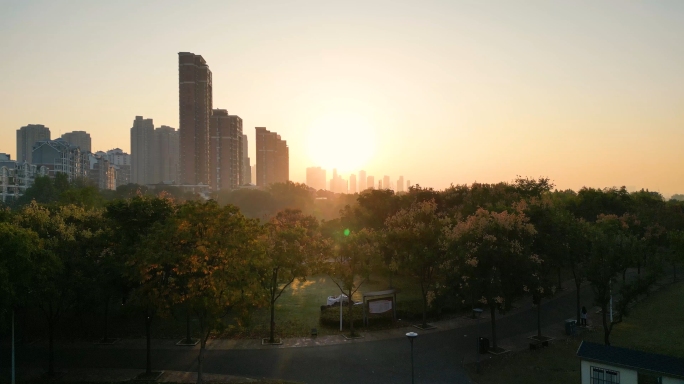 4K 清晨公园日出-4组