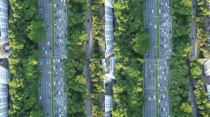 无人机鸟瞰图深圳城市主干道，路边绿树成荫，主干道两侧交通繁忙。中国广东省深圳市