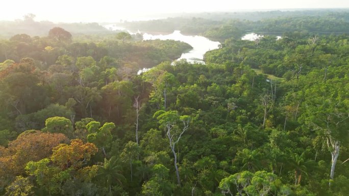 热带雨林、河流丛林鸟瞰图