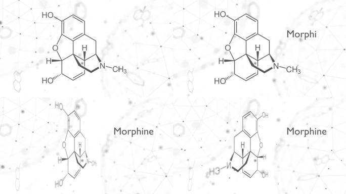 吗啡化学式。吗啡的化学分子结构。